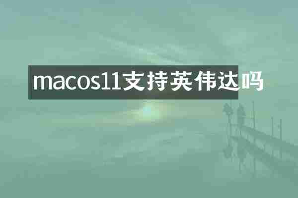 macos11支持英伟达吗