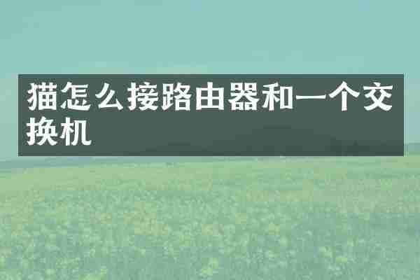 猫怎么接路由器和一个交换机