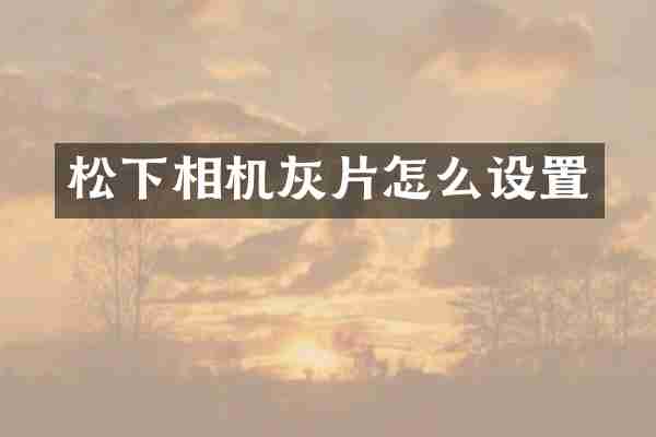 松下相机灰片怎么设置