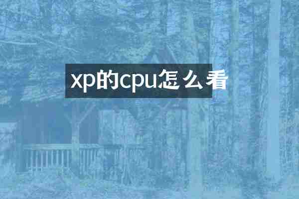 xp的cpu怎么看