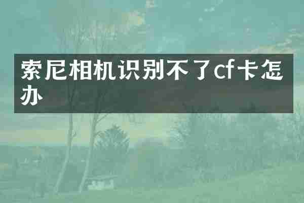 索尼相机识别不了cf卡怎么办