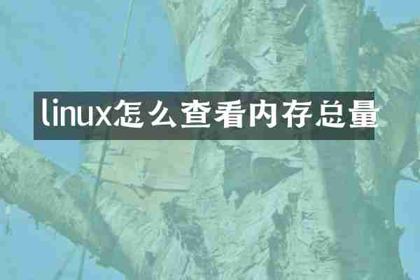 linux怎么查看内存总量