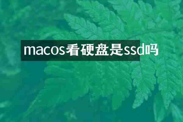 macos看硬盘是ssd吗