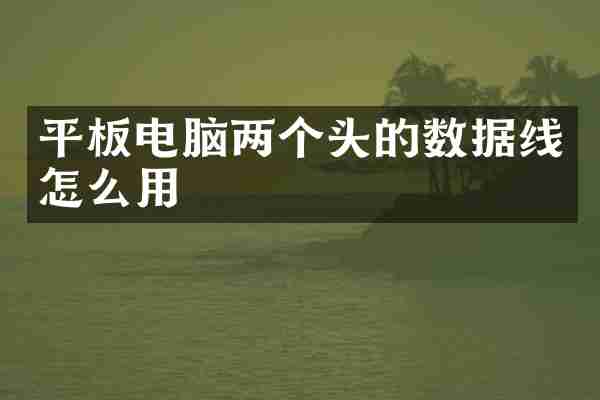 平板电脑两个头的数据线怎么用