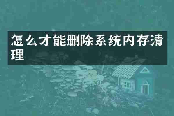 怎么才能删除系统内存清理