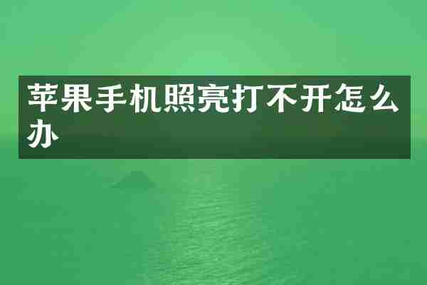 苹果手机照亮打不开怎么办