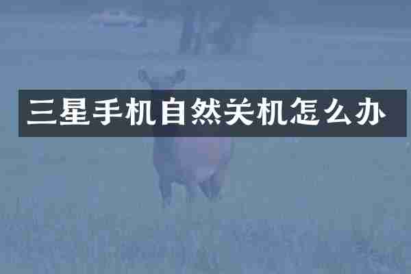 三星手机自然关机怎么办
