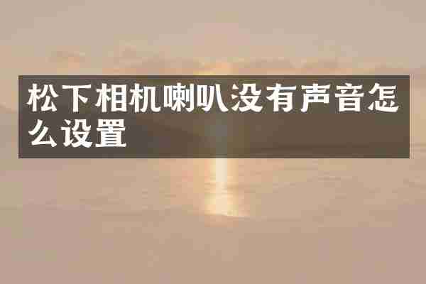 松下相机喇叭没有声音怎么设置