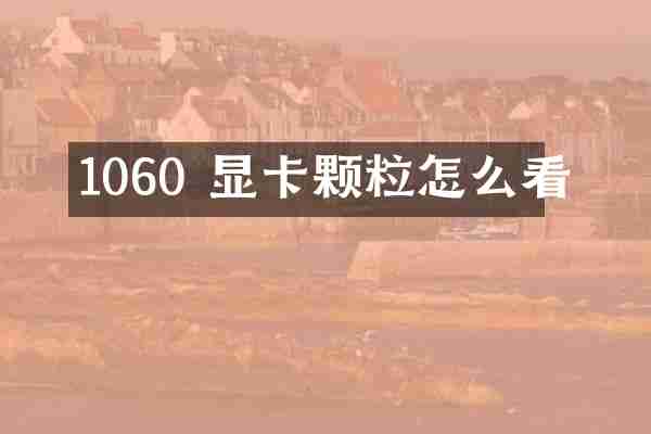 1060 显卡颗粒怎么看