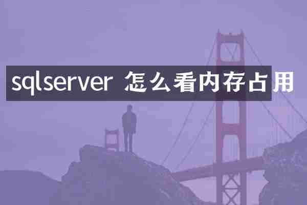 sqlserver 怎么看内存占用