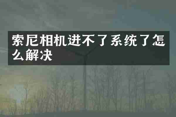 索尼相机进不了系统了怎么解决