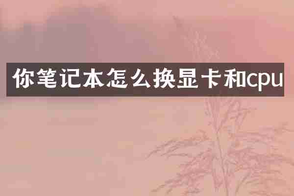 你笔记本怎么换显卡和cpu