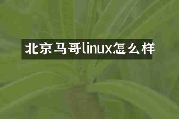 北京马哥linux怎么样