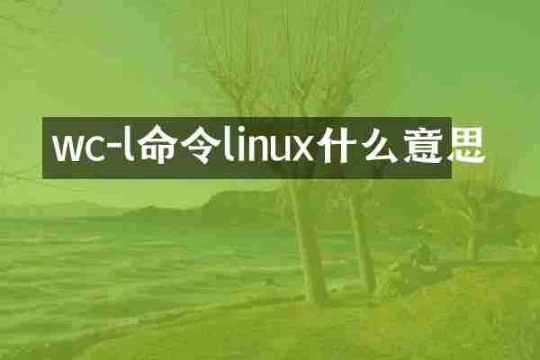 wc-l命令linux什么意思