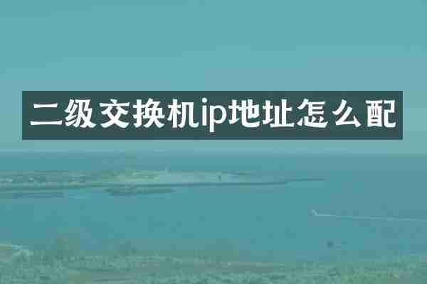 二级交换机ip地址怎么配
