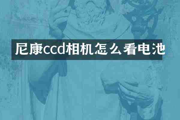 尼康ccd相机怎么看电池