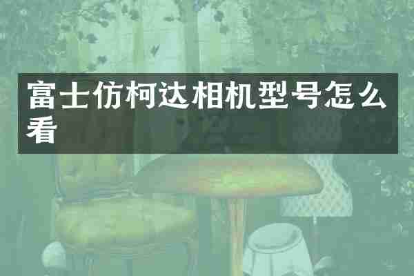 富士仿柯达相机型号怎么看