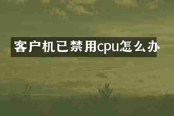 客户机已禁用cpu怎么办