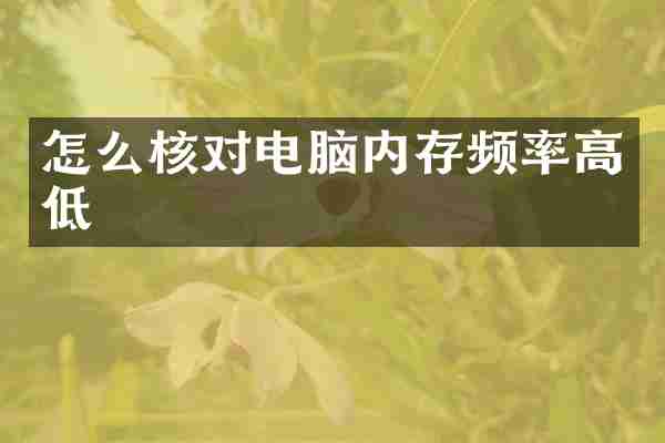 怎么核对电脑内存频率高低