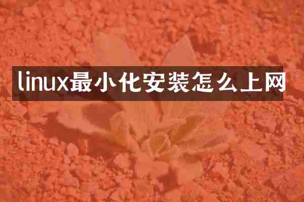 linux最小化安装怎么上网