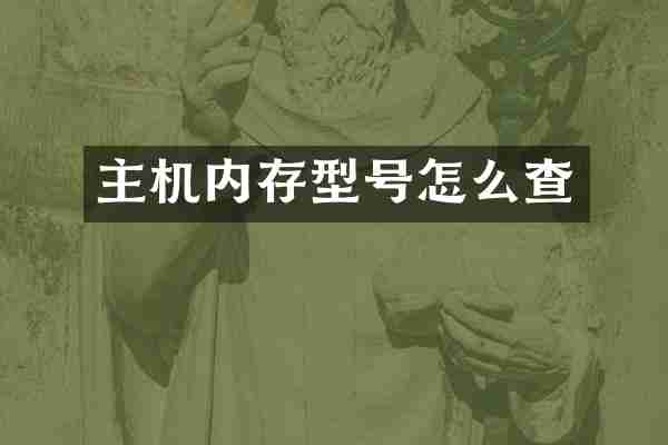 主机内存型号怎么查