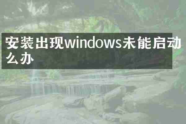 安装出现windows未能启动怎么办