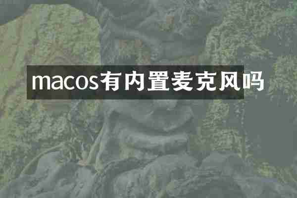 macos有内置麦克风吗