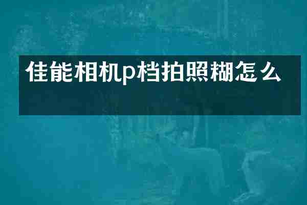 佳能相机p档拍照糊怎么办