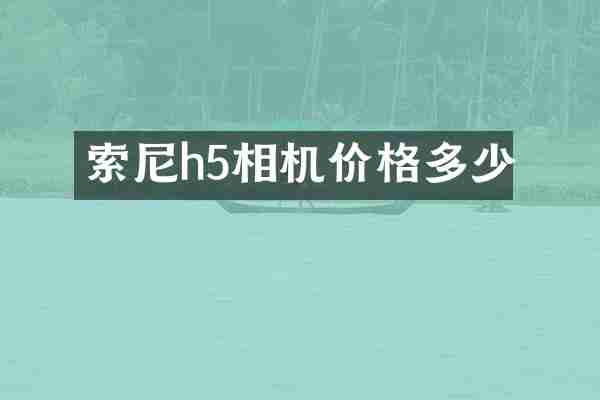 h5相机价格多少
