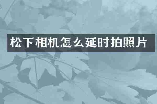 松下相机怎么延时拍照片