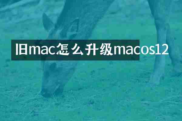 旧mac怎么升级macos12