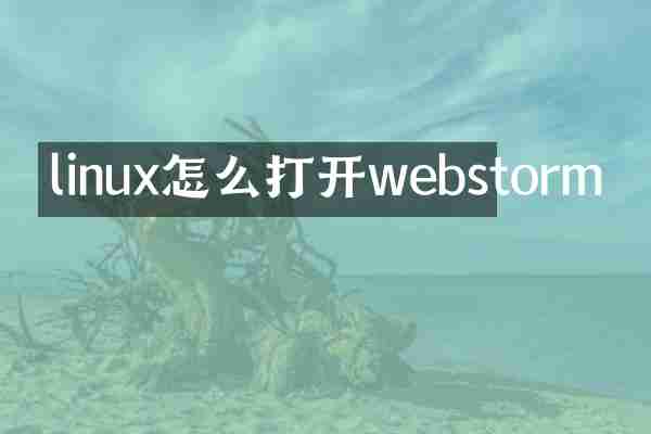 linux怎么打开webstorm