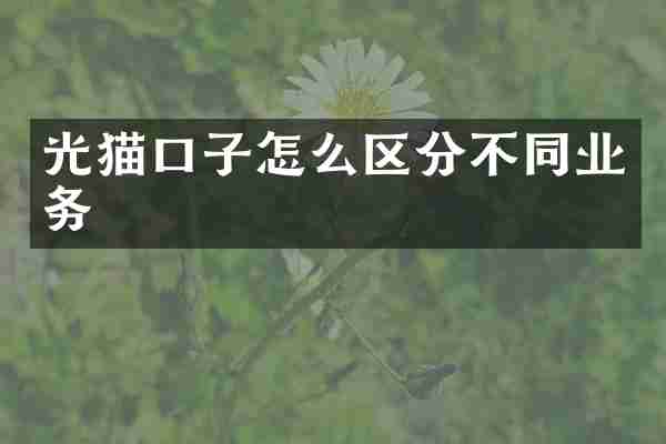 光猫口子怎么区分不同业务