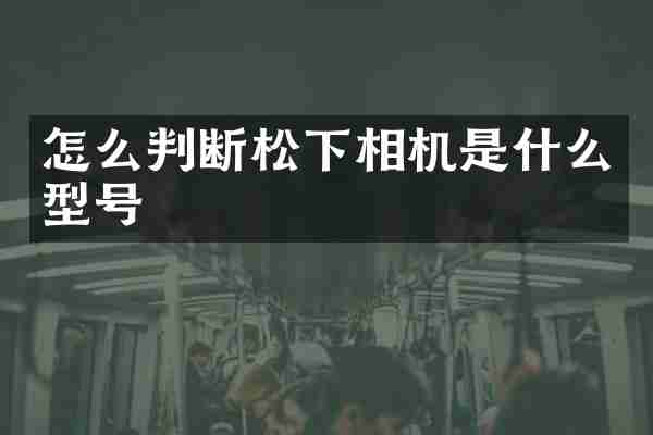 怎么判断相机是什么型号