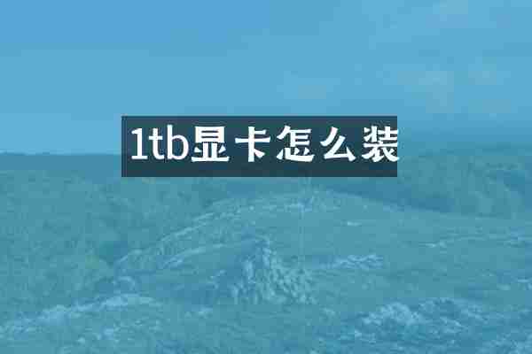 1tb显卡怎么装