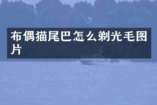 布偶猫尾巴怎么剃光毛图片