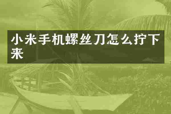 小米手机螺丝刀怎么拧下来
