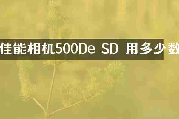 佳能相机500De SD 用多少数