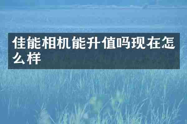 佳能相机能升值吗现在怎么样