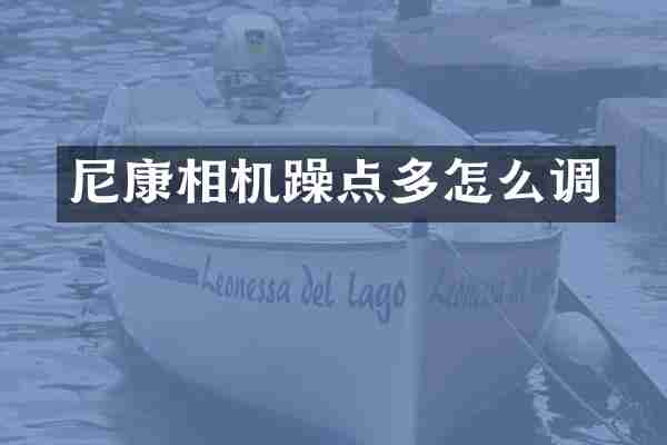 尼康相机躁点多怎么调