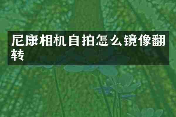 尼康相机怎么镜像翻转