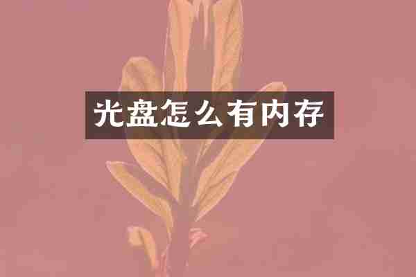 光盘怎么有内存