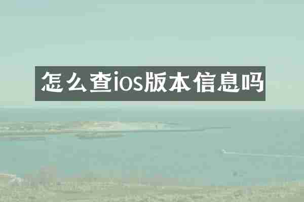 怎么查ios版本信息吗