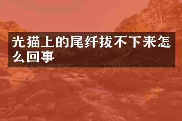 光猫上的尾纤拔不下来怎么回事