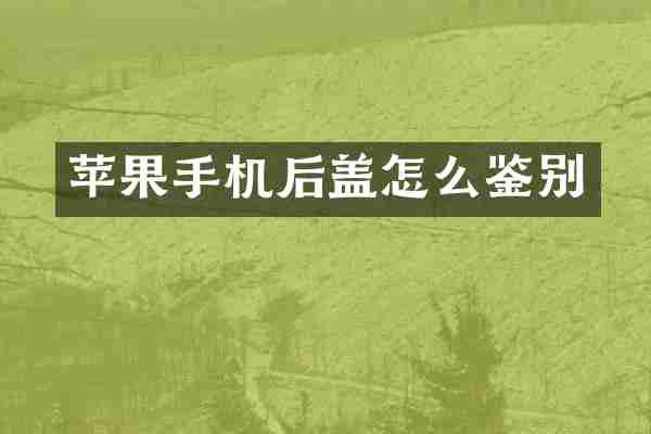 苹果手机后盖怎么鉴别