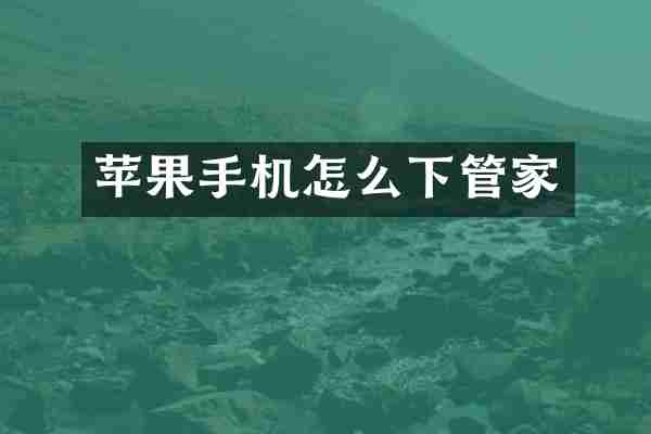 苹果手机怎么下管家