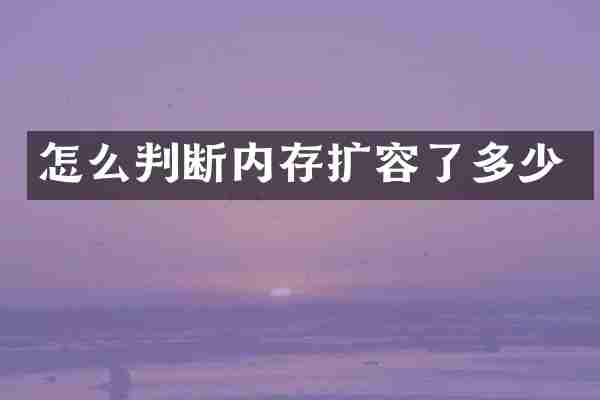 怎么判断内存扩容了多少