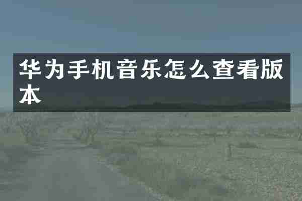 华为手机音乐怎么查看版本