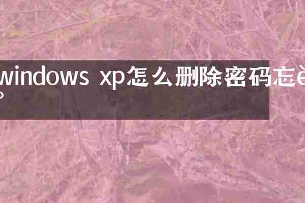 windows xp怎么删除密码忘记
