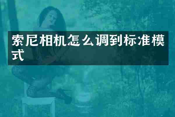 相机怎么调到标准模式